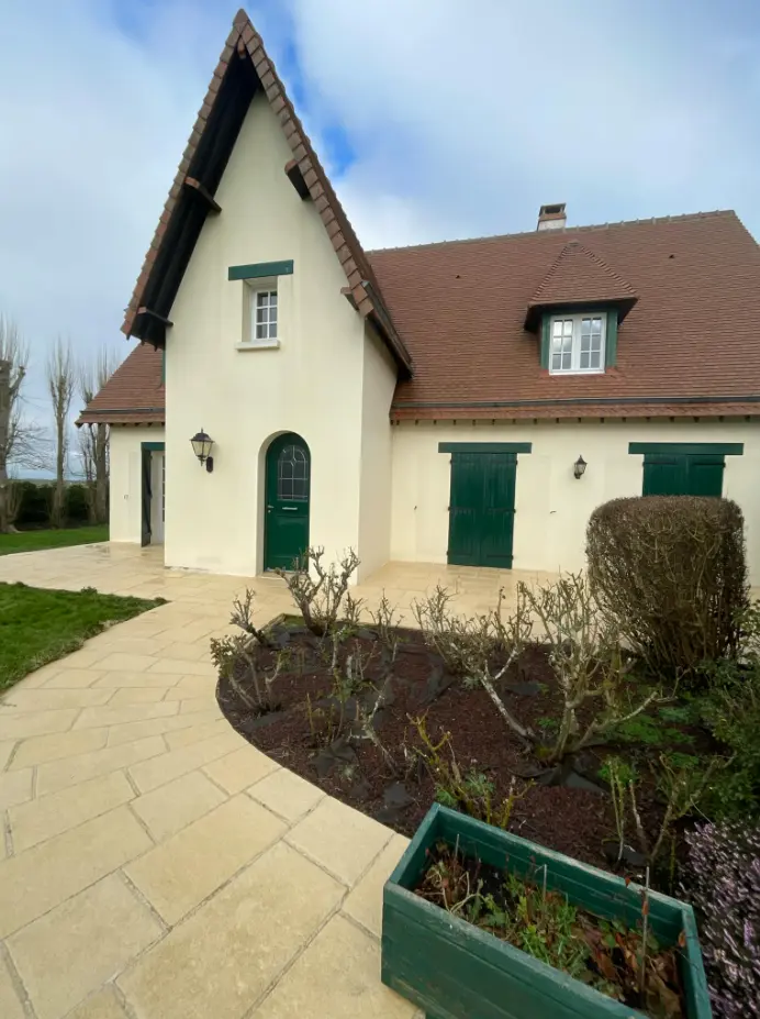 Terrasse en pierre avant nettoyage